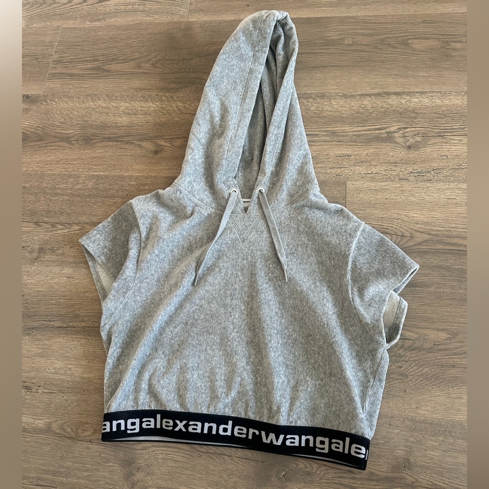 Alexander Wang Heather Gray Hooded Sweatshirt